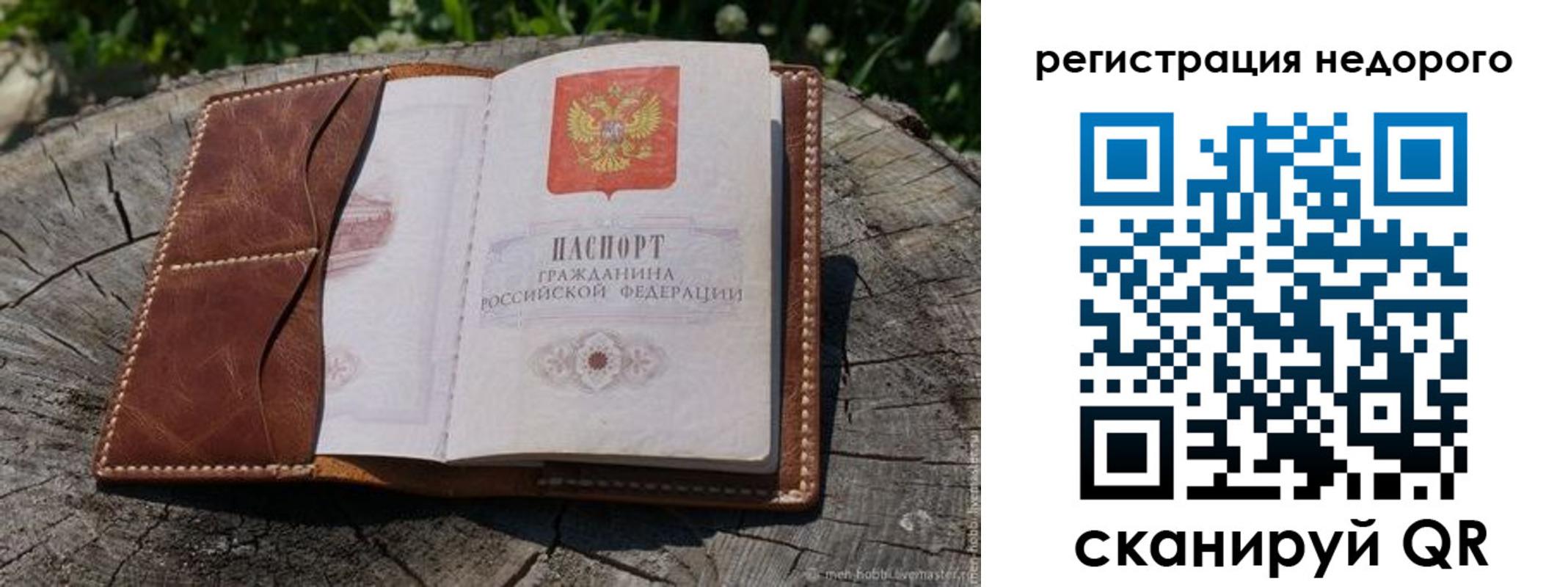 прописка гарантия в Петропавловске-Камчатском